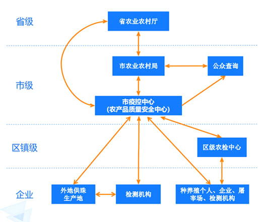 多级监管体系